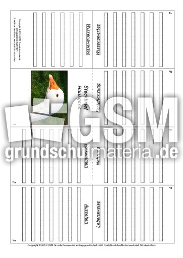 Faltbuch-Hausgans.pdf
